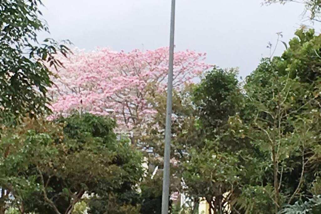 Conveniente Ubicacion En Zona Muy Silenciosa 3